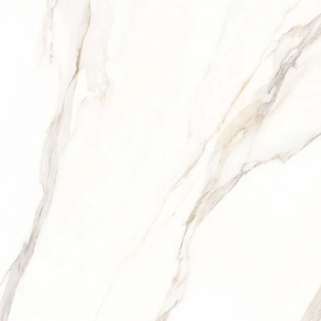 calacatta white gold 